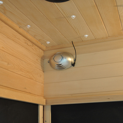 2021 de Openlucht veel Infra Zaal 220V 9kw van de 4 Persoons Traditionele Sauna