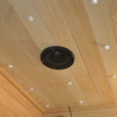 2021 de Openlucht veel Infra Zaal 220V 9kw van de 4 Persoons Traditionele Sauna