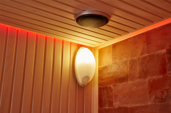 Aangepaste Luxerock Stone Salt Spa Zaal Binnen Houten Rood Cedar Aspen Sauna Room