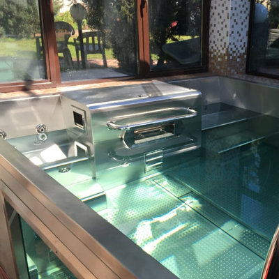 De mooie Hydromassage-pool van het Kader modulaire inground van het Tuinmetaal zwemt de Pool van de Kuuroordluxe 12x24 Inground