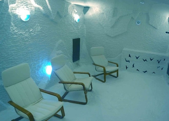 TUV Rich Himalayan Sauna Salt Room Therapie met de Functie van de Halotherapie