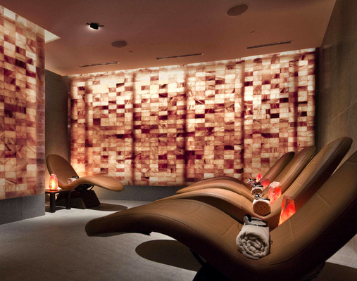 TUV Rich Himalayan Sauna Salt Room Therapie met de Functie van de Halotherapie