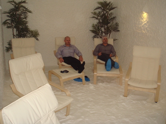 TUV Rich Himalayan Sauna Salt Room Therapie met de Functie van de Halotherapie